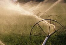 El Consejo de Gobierno ha aprobado la contratación de las obras de transformación en regadío del Sector XVII de la subzona de Payuelos –área Centro del Canal Bajo- de la zona regable de Riaño (León) por 35,7 Millones de €