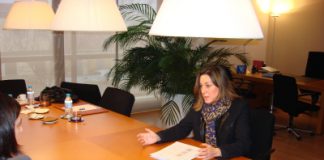 El declive de la Obra Pública