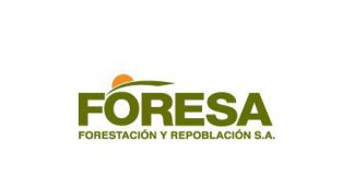 FORESA se encargará de realizar tratamientos silvícolas preventivos en la comarca de Arenas de San Pedro, Ávila