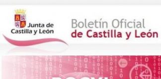 El Bocyl publica los Servicios de redacción de los proyectos básico y de ejecución para la construcción de edificios «B» y «C» para uso industrial y urbanización perimetral en las parcelas del Parque de Proveedores del sector de la automoción (segunda fase), en Valladolid