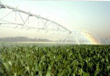 Una inversión de 39,2 millones de euros en infraestructuras y regadíos hará más competitivo y rentable el campo burgalés