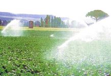 Una inversión de 183,1 millones de euros en infraestructuras y regadíos hará más competitivo y rentable el campo palentino