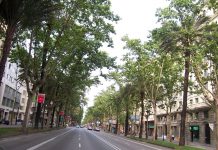 Sacyr y ACS remodelarán la Avenida Diagonal de Barcelona por 12 millones