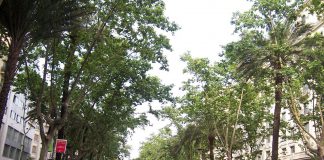 Sacyr y ACS remodelarán la Avenida Diagonal de Barcelona por 12 millones