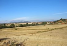 Exfamex se adjudica la mejora de caminos de concentración parcelaria en la provincia de zamora