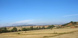 Exfamex se adjudica la mejora de caminos de concentración parcelaria en la provincia de zamora