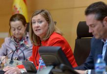 Comparecencia de la consejera de Hacienda, Pilar del Olmo, para informar sobre el Proyecto de Ley de Presupuestos Generales de la Comunidad de Castilla y León para 2015