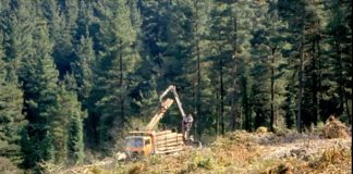 Publicado el 100 % del presupuesto de las ayudas forestales del programa de desarrollo rural 2014-2020