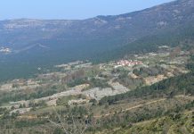 La Junta acuerda destinar más de dos millones y medio de euros al Plan de Mejoras de los Montes de Utilidad Pública de Segovia en 2017