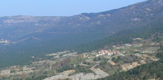 La Junta acuerda destinar más de dos millones y medio de euros al Plan de Mejoras de los Montes de Utilidad Pública de Segovia en 2017