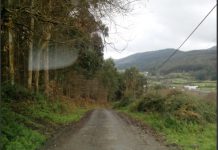 La Junta subvenciona con 100.000 euros actividades de asesoramiento y apoyo en la gestión forestal sostenible