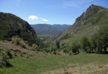 La Junta destina 7,7 millones de euros a tratamientos silvícolas preventivos de incendios forestales en las provincias de Ávila, Burgos, León, Salamanca y Soria