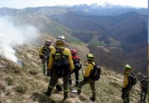 La Junta destina más de 1 millón de euros para la licitación de tratamientos silvícolas en la provincia de Zamora