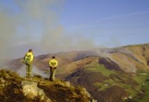 La Junta invierte más de 7,1 millones para tratamientos silvícolas preventivos de incendios forestales