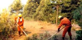 La Junta destina más de un millón de euros para trabajos preventivos de incendios forestales para las comarcas de Ávila, Arévalo y Hoyo de Pinares