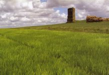 Ayudas a las inversiones en infraestructuras en superficies pastables