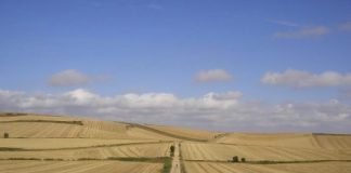 La Junta destina 2 Millones de € a obras de infraestructura rural en la zona de concentración parcelaria de Valoria la Buena II, Valladolid