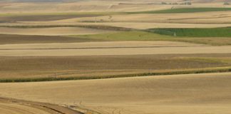 Prevista una inversión de más de 18 Millones de euros para 5 concentraciones parcelarias en Burgos, León, Palencia y Zamora