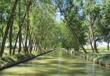 La Asociación pro restauración de Templos de Medina de Rioseco contará con una subvención de 200.00 euros para la realización de una Centro de interpretación del Canal de Castilla