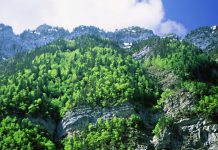 El Ministerio de Agricultura y Pesca, Alimentación y Medio Ambiente destina 2,5 millones de euros para la realización de proyectos en materia de adaptación al cambio climático