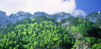 El Ministerio de Agricultura y Pesca, Alimentación y Medio Ambiente destina 2,5 millones de euros para la realización de proyectos en materia de adaptación al cambio climático