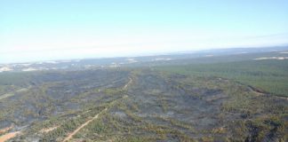 Aprobadas las actuaciones de restauración de las áreas afectadas por los incendios forestales en Fabero, Páramo de Sil y Peranzanes (León) y en Oímbra y Cualedro (Orense)