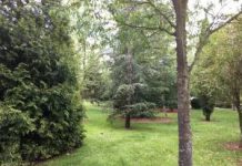 El Ayuntamiento de Salamanca reformará integralmente el Parque Salesas dotándolo de nuevas zonas verdes, más espacios infantiles y aparatos de gimnasia para personas mayores gracias a una inversión de más de 549.000 euros