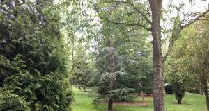 El Ayuntamiento de Salamanca reformará integralmente el Parque Salesas dotándolo de nuevas zonas verdes, más espacios infantiles y aparatos de gimnasia para personas mayores gracias a una inversión de más de 549.000 euros
