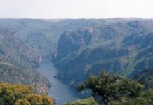 El Gobierno autoriza el contrato para desarrollar los programas de seguimiento del estado de las aguas continentales y el control adicional de las zonas protegidas en la cuenca del Duero por 18,9 millones