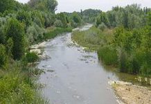 La Junta autoriza la conversión en regadío de 2.700 hectáreas de las vegas bajas del río Valdavia, en Palencia, que supondrá una inversión de 20 millones de euros