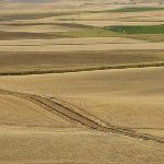 La Consejería de Agricultura y Ganadería tiene previsto invertir más de 41,6 millones de euros en diferentes concentraciones parcelarias en las provincias de Palencia y Soria