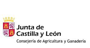 La Junta destina más de 9,3 millones de euros en obras de infraestructura rural para finalizar nueve concentraciones parcelarias en Burgos, León, Salamanca y Segovia