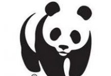 La secretaria de Estado de Medio Ambiente anuncia que España contará con una Estrategia Estatal de Infraestructura Verde este año