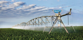 Modernización de más de 7.000 hectáreas de regadío