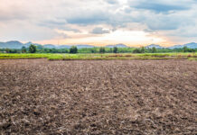 Aprobados los planes de mejoras y obras de cuatro zonas de Burgos, Segovia, Valladolid y Zamora.