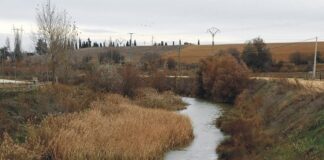 Foresa se encargará de la renovación del Sendero del Río Ucieza