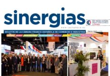 Sinergias publica sobre la Cámara de Contratistas