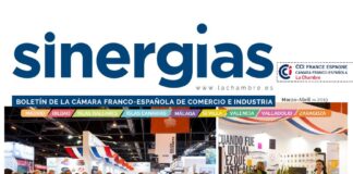 Sinergias publica sobre la Cámara de Contratistas