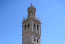 Proyecto Cultural «Campos del Renacimiento»