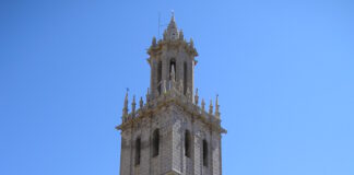 Proyecto Cultural «Campos del Renacimiento»