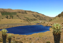 Proyecto de aparcamiento y edificio de servicios en la Laguna Negra