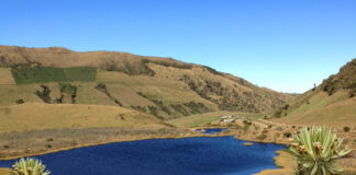 Proyecto de aparcamiento y edificio de servicios en la Laguna Negra