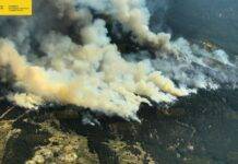 El MAPA destinará 200.000 euros para iniciar los trabajos de mayor urgencia en las zonas afectadas por el incendio de La Granja y de Palazuelos de Eresma (Segovia)