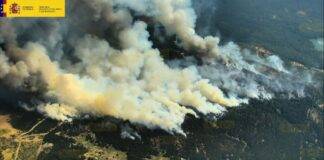 El MAPA destinará 200.000 euros para iniciar los trabajos de mayor urgencia en las zonas afectadas por el incendio de La Granja y de Palazuelos de Eresma (Segovia)