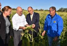 El Proyecto de modernización del regadío del Carracillo supondrá una inversión cercana 30 millones de euros