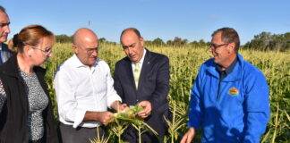 El Proyecto de modernización del regadío del Carracillo supondrá una inversión cercana 30 millones de euros