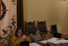 Presupuesto 2020 Concejalía de Innovación, Desarrollo Económico, Empleo y Comercio