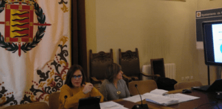 Presupuesto 2020 Concejalía de Innovación, Desarrollo Económico, Empleo y Comercio