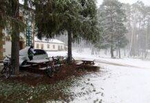 Rehabilitación del edifico anejo al Aula del Bosque del Amogable