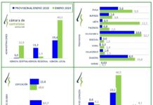 Avance datos estadísticos enero 2020 en Castilla y León